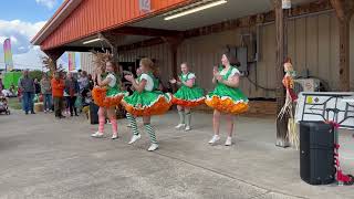 The Lincoln County Cloggers at the WV Pumpkin Festival in Milton, West Virginia