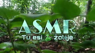 ASMR | Tu esi 🐍 žolėje