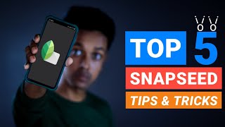 Snapseed Tips And Tricks - Top 5 Tips And Tricks In Snapseed - Tech Art