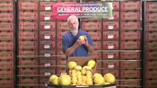 Produce Beat:  Grapefruit