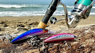 COMO pescar de ORILLA con SEÑUELOS MINNOW || JERKBAIT || MEDIA AGUA. PESCA DE PLAYA.