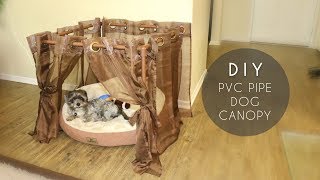 DIY PVC Pipe Dog Canopy