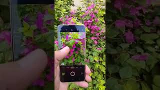 Vivo V23 Look and Camera Result 🔥 #shorts #shortvideo #youtubeshorts #viralvideo