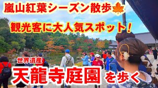 11/12(火)秋の京都散策🍁嵐山の人気紅葉スポット 天龍寺を歩く【4K】Tenryu-ji Temple