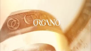 GANODERMAstory History, Life and Benefits of the KING of HERBS  by Organo Gold