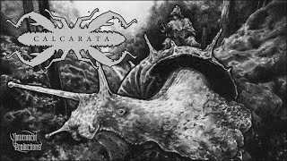 Calcarata - Calcarata | Atmospheric Black Metal (from "Der müde Mensch")