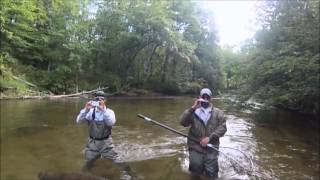 Will Dammeyer   Salmon Fishing