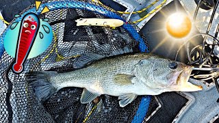 Fishing in 100 degree Weather at Lake Kaweah, CA