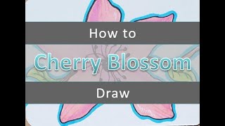 Learn to Draw a Cherry Blossom Flower