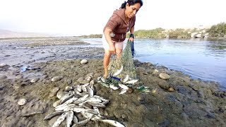 mira!!! como llego a pescar con atarraya esta pescadora una gran.. cantidad de peces