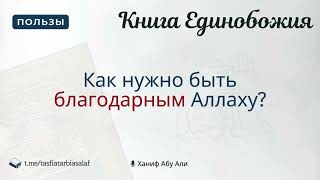 Как нужно быть благодарным Аллаху? | Ханиф Абу Али