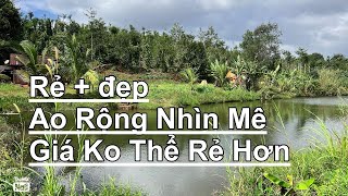 Nợ ngân hàng bán gấp tổng 2.1 ha sổ hồng 1.8 ha cafe tiêu nha cửa điện nước đầy đủ