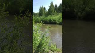 Videos from My Phone | Summer on the Small River