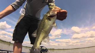 Finesse Bass Fishing the Red River with Biovex Kolt Fish Tail