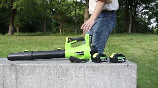 Electric Leaf Blower Cordless 21V Leaf Blower