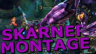 A LITTLE SKARNER MONTAGEE!!!!