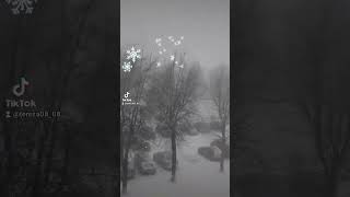 Завируха.27.11.23.🎄🌨❄☃️всем снега в ленту😏