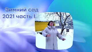 Зимний сад  2021 часть1