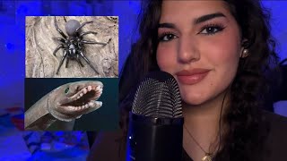 ASMR ANIMALES MÁS RAROS DE AUSTRALIA🇦🇺🕷️