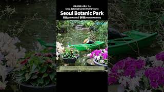 [4K] 도심 속 힐링 정원! 서울식물원 나들이 코스ㅣ서울식물원 당일치기 여행ㅣ서울식물원 가이드ㅣ겨울 실내 서울 데이트 코스ㅣ서울 힐링 여행ㅣ서울 이색 데이트 코스ㅣ서울식물원 투어