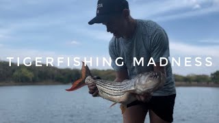 Insane Zimbabwean Tigerfishing!!! #fish #fishing