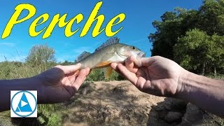 De la mer au lac : Pêche aux leurres