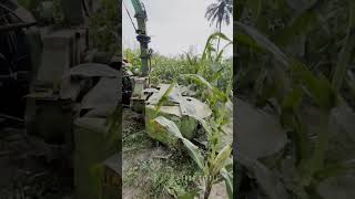 Corn Cutting Machine #shorts #farmers #farming #corn #cutting #machine #factory#blogger #foodcircle