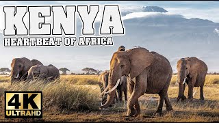 Kenya - Heartbeat of Africa and the Maasai 4K