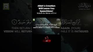 Allah’s Creation Will Leave You Speechless! #quran #shorts