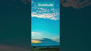 Gratitude - Best Motivation  #motivation #inspiration #foryou #fyp #gratitude  @JustAmazing88