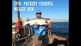 Seasons, EP20- PACKERY CHANNEL JETTY mullet run? Fishing CORPUS CHRISTI, TEXAS!