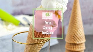 Fresh Soursop Ice Cream