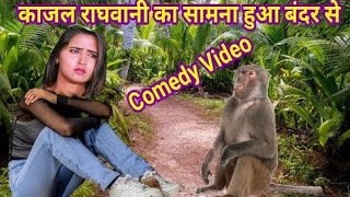 काजल राघवानी घर से निकाली गई #bhojouri_whatsapp_status #bhojpuricomedy #kajalraghwani #cartoon