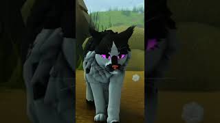 Focus #wcueroblox #warriorcats #viral #wcueedit #wcuefyp