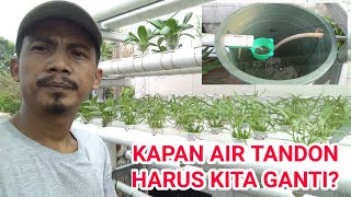 CARA MEMBERI NUTRISI PADA AIR TANDON || Tips #4