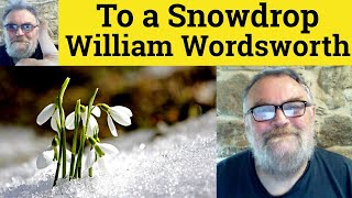 😎 To a Snowdrop by William Wordsworth Analysis - To a Snowdrop by William Wordsworth Summary