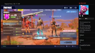 Fortnite with bros