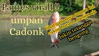 "Virall Umpan Cadonk "Yang sebelah hanya bisa bengong😂😂,umpan ikan bawal harian paling jitu