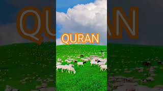 Surah Hajj Ayat no 17-18 urdu translation #islamic#ytshorts #islamic#video