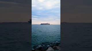 Chesapeake Bay's Massive Cargo Ships #chesapeakebay #shorts #cargoship #hampton