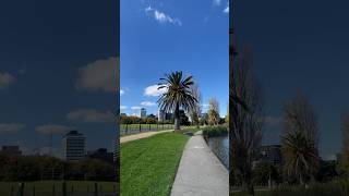 Fyling the DJI Mavic 2 Pro drone today around Melbourne 🤩 Daily Vlog 4