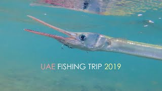 UAE fishing trip 2019