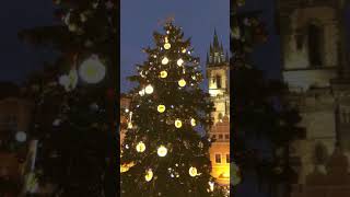 Prague town square Christmas tree