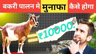 Bakri Palan Me Munafa Kaise Hoga|Vimal Umrao