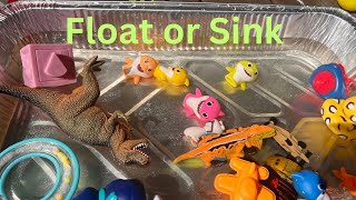 Sink or Float Challenge for Kids | Kids Science Experiment at Home with Mommy & Baby |