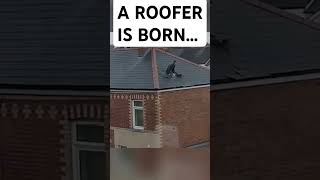 Is this where roofers come from? 😂 #roof #roofer #roofing #roofershelper