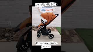 🔥Прогулочная коляска Carrello Alfa 2023 (реверс.  блок) #carrelloalfa #carrello #krasbaby