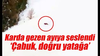 Vicvanak yaylasında karların üzerinde gezen ayıya seslendi “Git yat aşağı, çabuk"