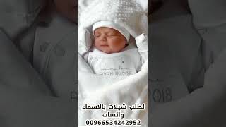 شيله بشاره مولوده طرب حماسيّة