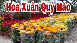 Chợ Hoa Thành Phố Bến Tre Ngày Cận Tết @HuongChannel